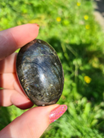 Labradoriet palmsteen 63