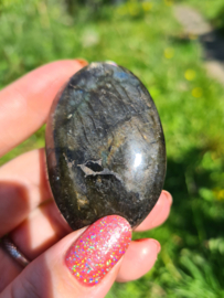 Labradoriet palmsteen 59