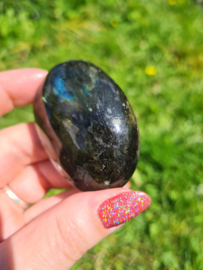 Labradoriet palmsteen 24