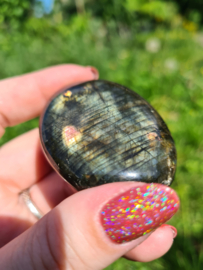 Labradoriet palmsteen 31