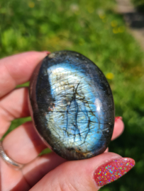 Labradoriet palmsteen 25