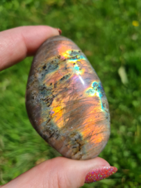 Labradoriet palmsteen 6