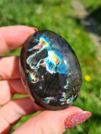 Labradoriet palmsteen 40