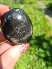 Labradoriet palmsteen 52