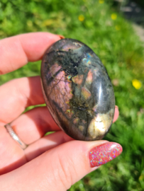 Labradoriet palmsteen 39