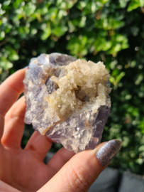 Fluorite with dog tooth calcite (blue)