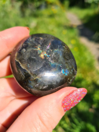 Labradoriet palmsteen 54