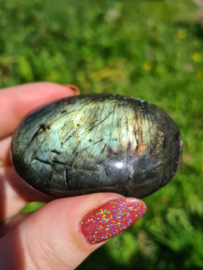 Labradoriet palmsteen 50