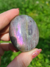 Labradoriet palmsteen 28