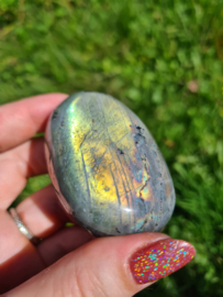 Labradoriet palmsteen 42