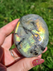 Labradoriet palmsteen 49