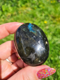 Labradoriet palmsteen 24