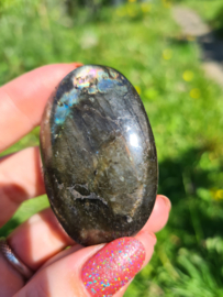 Labradoriet palmsteen 59