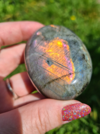 Labradoriet palmsteen 27