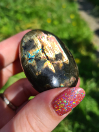 Labradoriet palmsteen 62