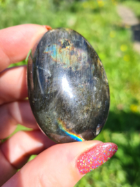 Labradoriet palmsteen 51