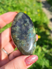 Labradoriet palmsteen 67