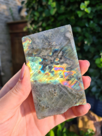 Labradorite half polished (green/rainbow)