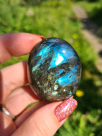 Labradoriet palmsteen 66