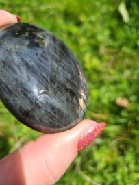 Labradoriet palmsteen 1