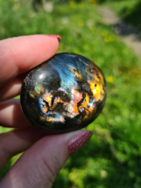 Labradoriet palmsteen 31