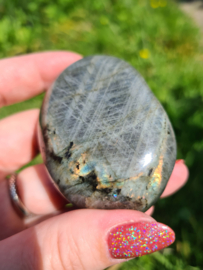 Labradoriet palmsteen 27