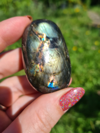 Labradoriet palmsteen 53
