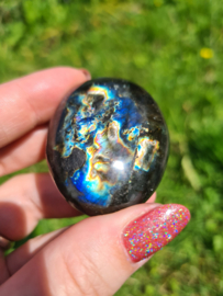 Labradoriet palmsteen 22