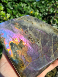 Labradoriet vrije vorm (paars/blauw)