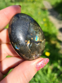 Labradoriet palmsteen 69