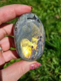 Labradoriet palmsteen 42