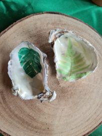 Schelpen decoratie setje 6