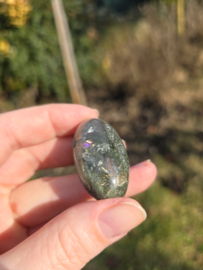 Lodoliet met rutiel shiva