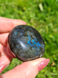 Labradoriet palmsteen 3