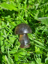 Fluorite mushroom 9