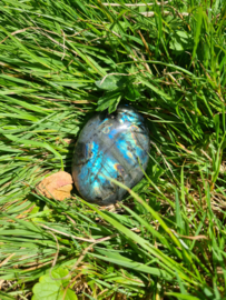 Labradoriet palmsteen 8