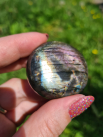 Labradoriet palmsteen 26