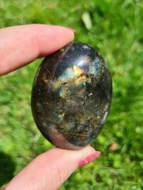 Labradoriet palmsteen 12