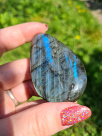 Labradoriet palmsteen 34