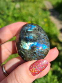 Labradoriet palmsteen 66