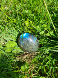 Labradoriet palmsteen 66