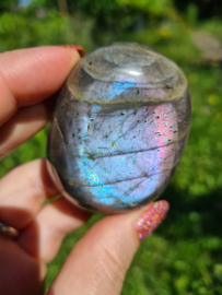 Labradoriet palmsteen 55