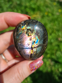 Labradoriet palmsteen 46