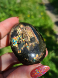 Labradoriet palmsteen 62