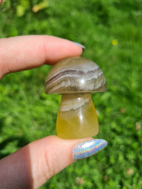 Fluorite mushroom 5