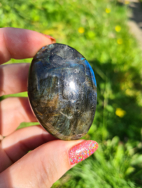 Labradoriet palmsteen 63