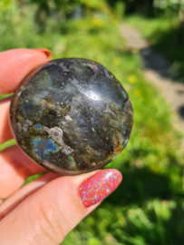 Labradoriet palmsteen 54