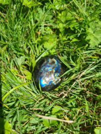 Labradoriet palmsteen 22