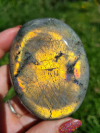 Labradoriet palmsteen 49