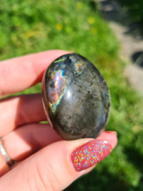 Labradoriet palmsteen 41